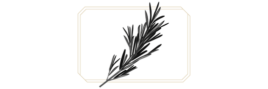 WILD ROSEMARY EXTRACT